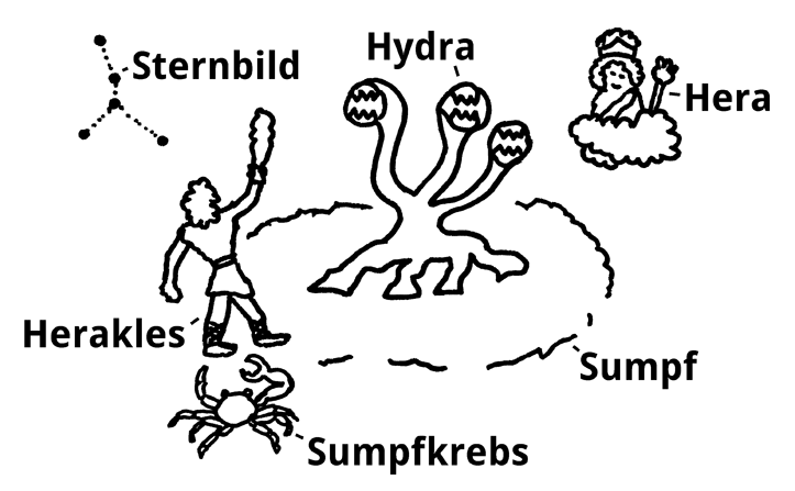 Hydra