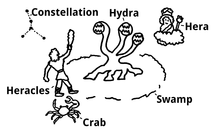 Hydra